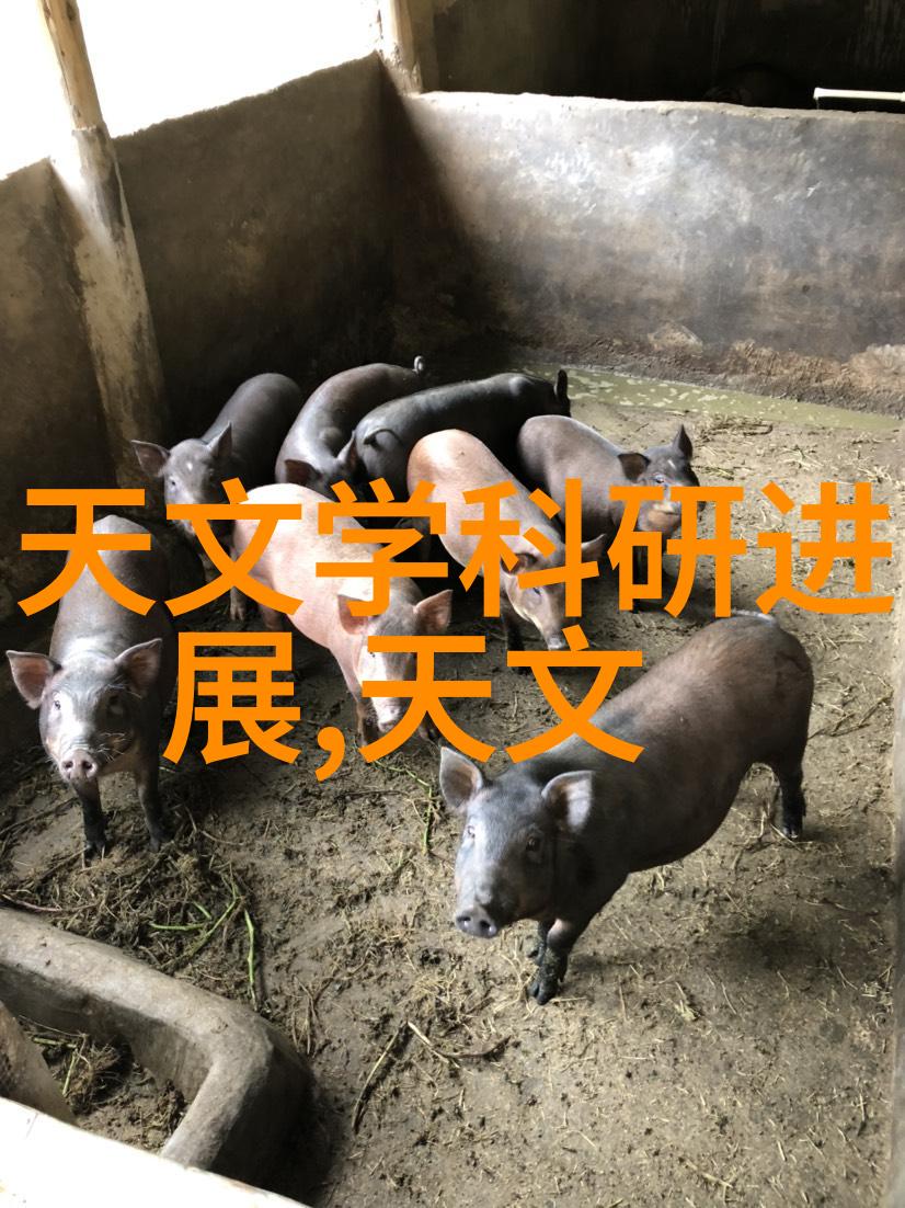 校园生态探索绿色行动的实践路径
