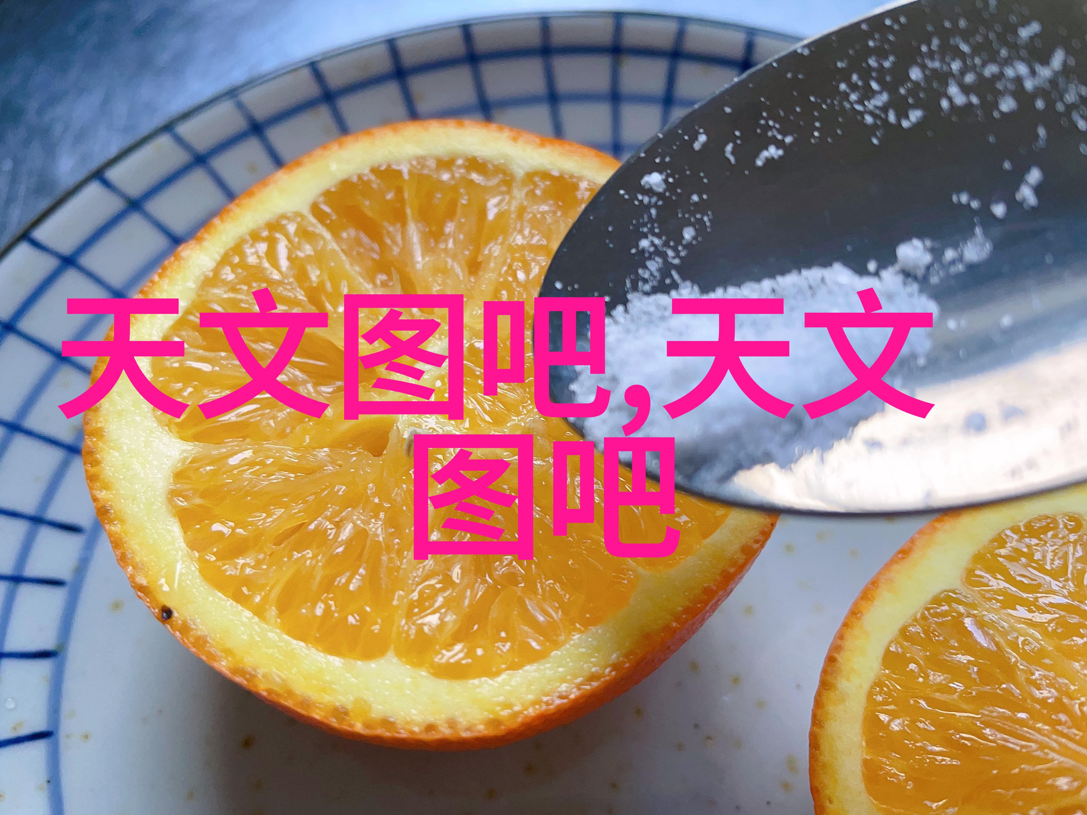 研究生的学术成果展示中南财经政法大学研究生院年度科研报告会回顾
