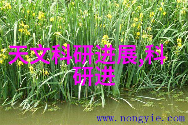 学术盛会揭开黑洞吞噬星体秘密的X射线窗口