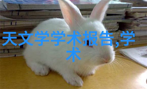 高效粉料混合技术的前沿探索最先进粉料混合机的设计与应用