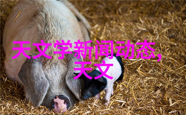 智慧出行未来智能交通展会探索新时代交通管理之道