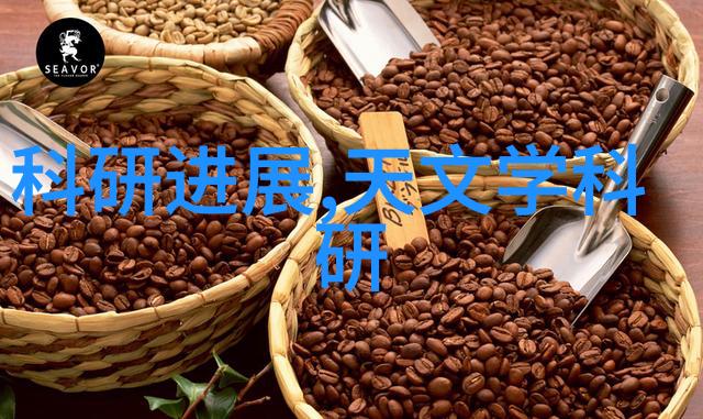 珠江学院的师资力量如何能否介绍一些知名教授及其研究方向
