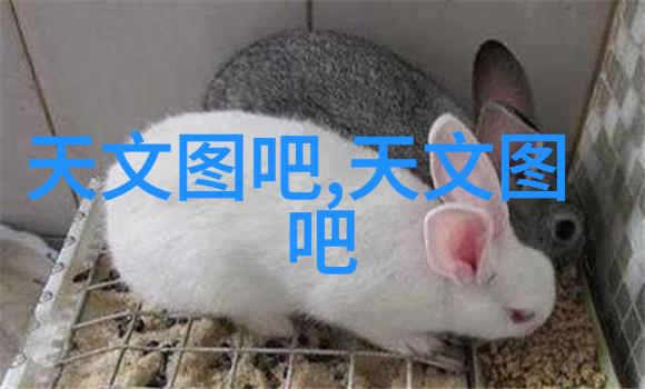 网络技术中的填料网如何提升数据传输效率