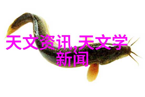 苹果秋季新品发布会揭秘下一个科技革命