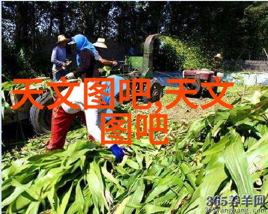 冷却塔填料的选择与应用新趋势探究