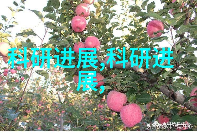 在工业规模上使用时如何评估反应釜和反应器的性能差异