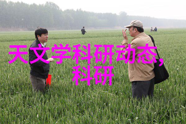 超级微观世界里的食材变革者小型磨粉机探秘