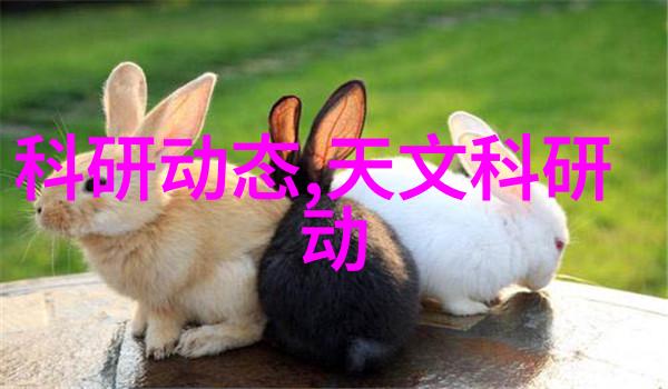 口腔高压蒸汽灭菌锅专业医疗级别的清洁设备