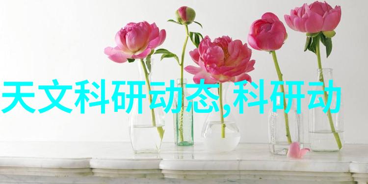 中国数字娱乐新纪元LMEDJYF视频网站的崛起与影响