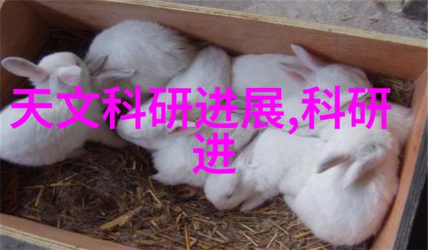 旋转的力量离心机的运作原理与应用