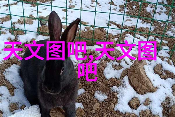 电动地泵和手摇地泵各自有什么优缺点