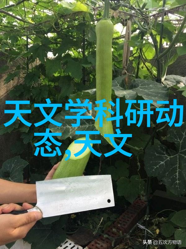 人工湿地设计中火山岩填料的独特作用