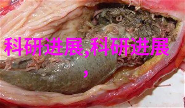 安全操作指南正确使用粉碎机设备