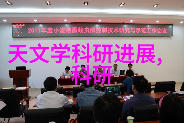 监测水深的智能伙伴水位显示仪的应用与未来发展