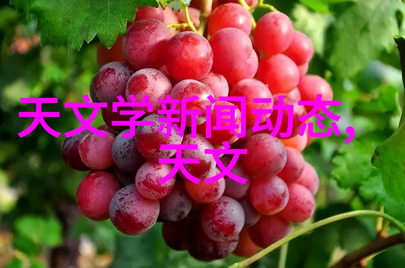 红山学院南京财经大学的教育创新旗舰