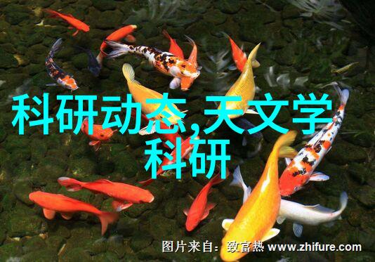 化工包装检测设备确保产品安全的关键技术