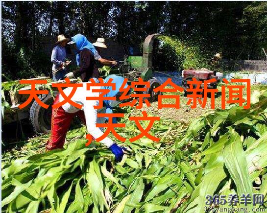 家庭装修设计温馨的家美好的生活