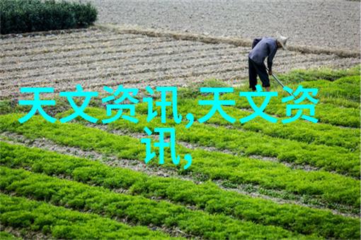 金剑雕翎穿越之战与爱情的交织