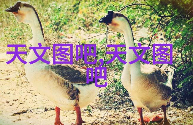 军用软件测评资质确保战略信息安全的关键
