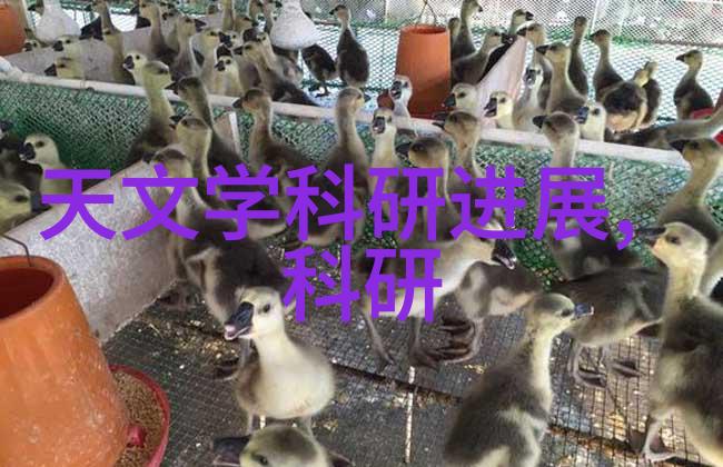 120分钟内的尝试揭秘如何制作受欢迎的小视频