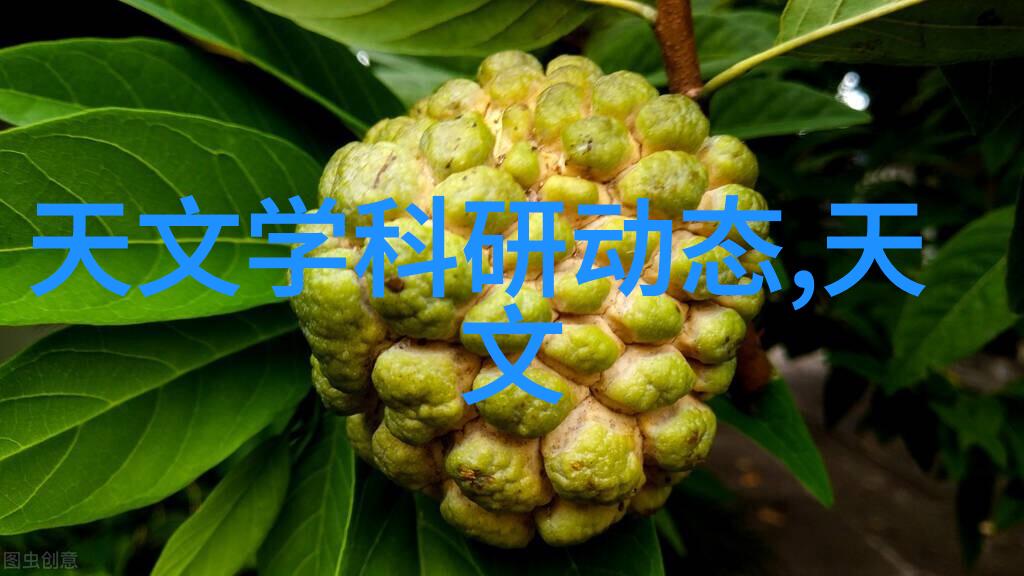芯片龙头股票高科技半导体行业领先公司