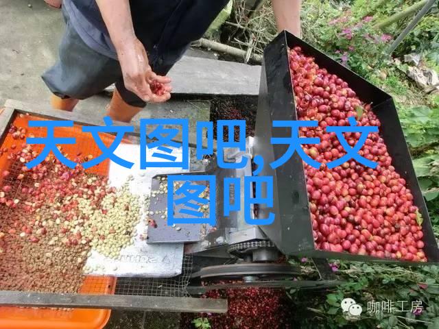 实训报告心得体会-探索与实践的对话从理论到应用的转变
