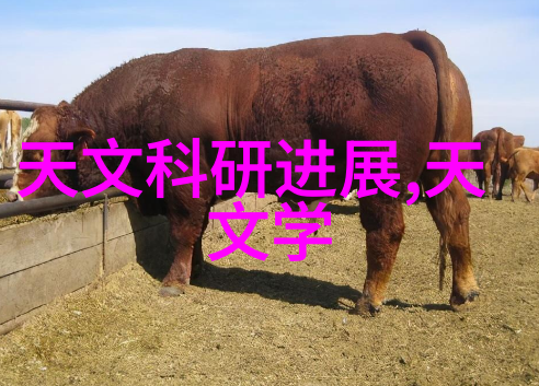 如何在家中设立一个简易的家具刷油漆工作区