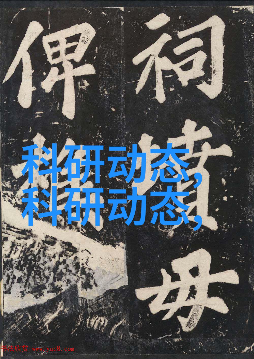 不锈钢丝网填料金属筛选的坚固伙伴
