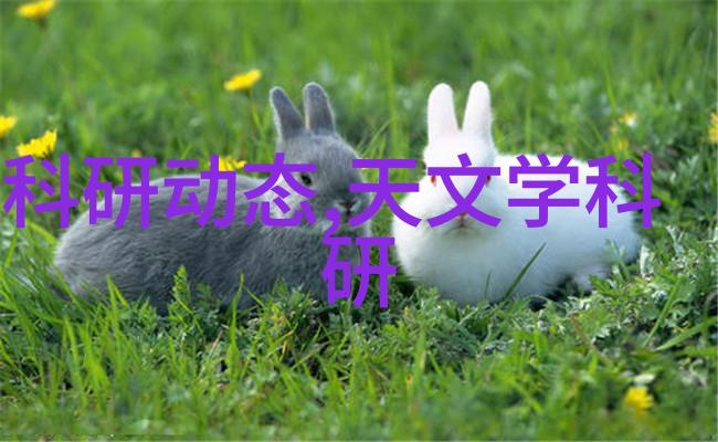 纤维奇缘穿越时空的细丝