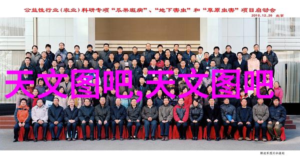 高效智能分选机型号重塑物流与制造业的未来
