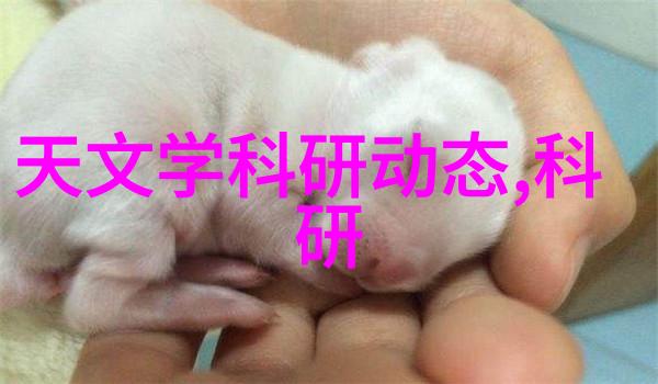探索未知可行性研究报告范文模板之谜