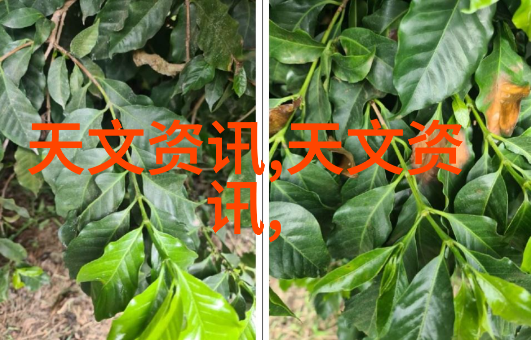 离心之舞机器的心脏律动