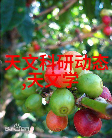 牙科高压蒸汽灭菌锅使用方法我来教你怎么用这台牙科高压蒸汽灭菌锅不让细菌再惹麻烦