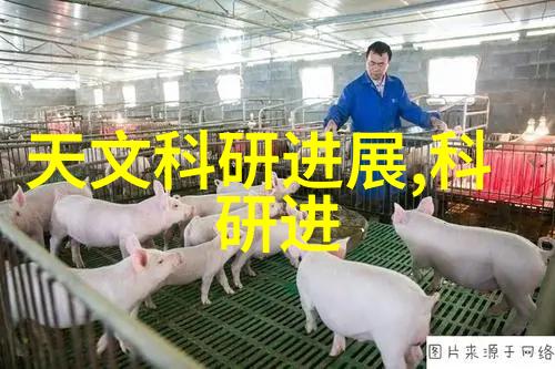 小型食品高温灭菌设备确保安全的新选择