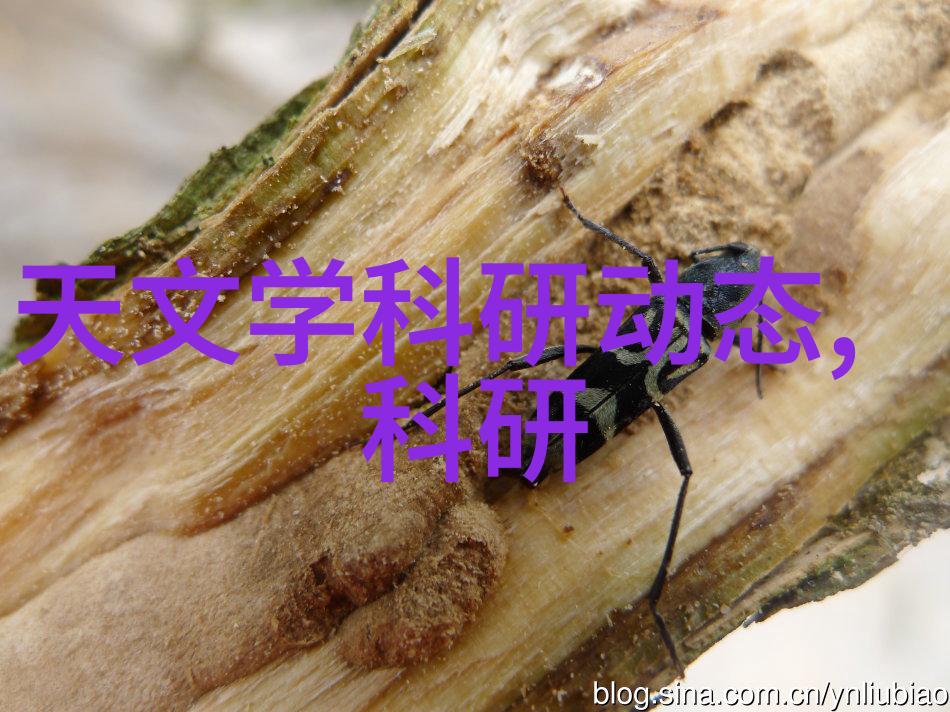 浙江财经大学金钱的熔炉与知识的花园