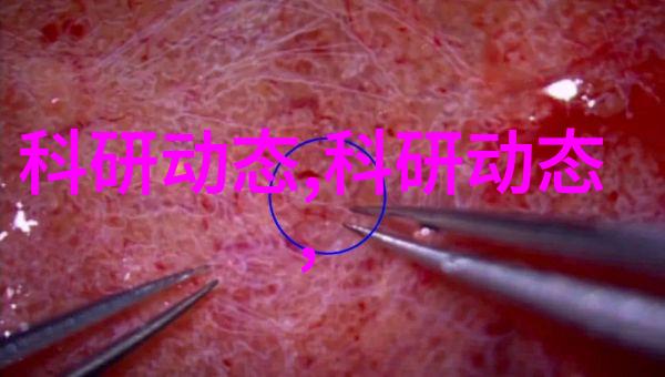 家具喷漆房专业家居装饰美化服务