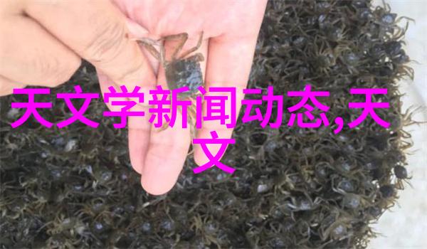 冷库设计要点如何优化冷气贮藏空间