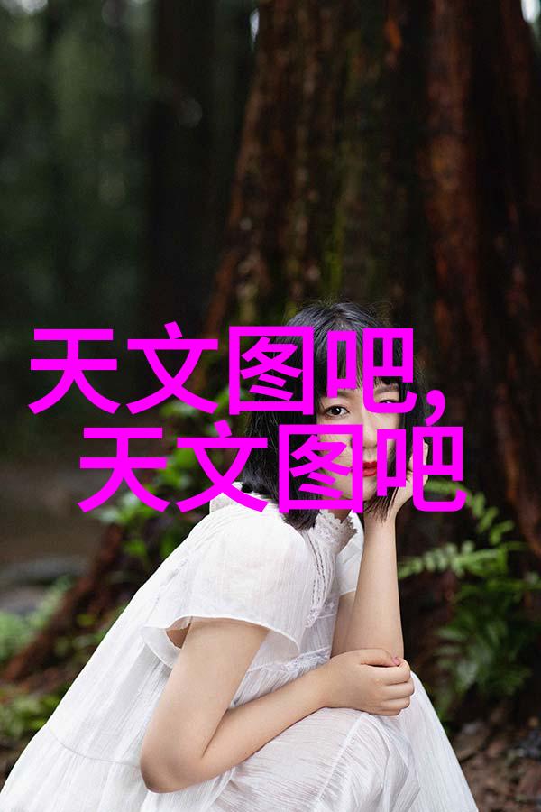 我们需要什么样的监控和维护来确保双层滤网正常运行