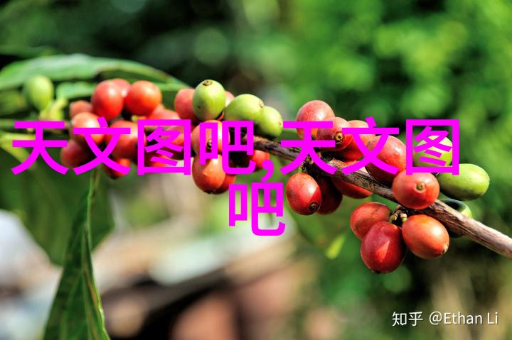 非常規應用探索不鏽鋼材質在建築設計中的新趨勢