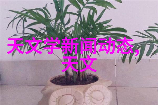 不锈钢规整填料尺寸对环境影响的研究