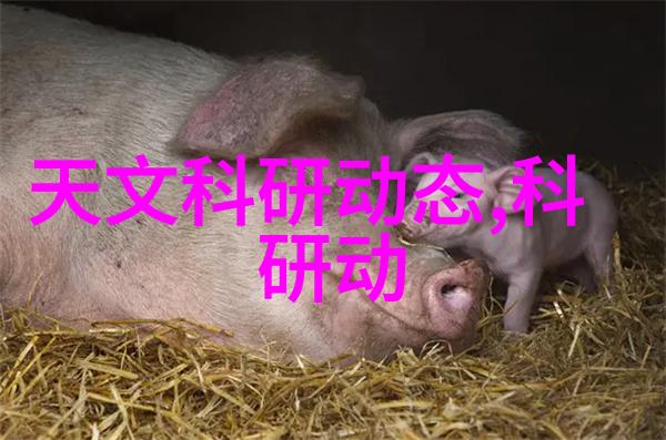 中国石油化工网站我在这里找到了答案
