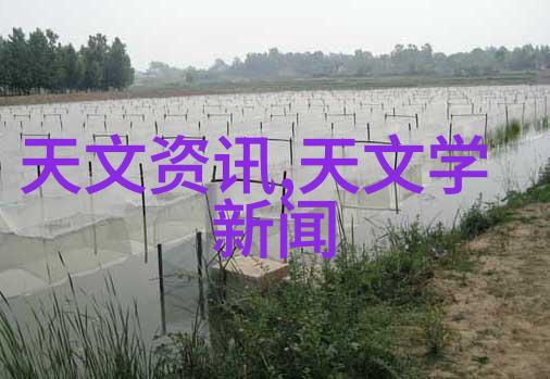 高效旋转干燥技术的应用与未来发展趋势