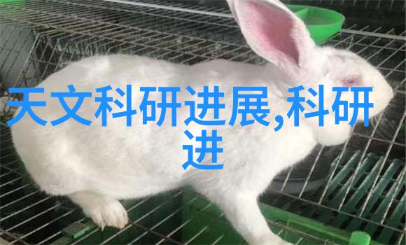 矿业技术-探索未来实验室选矿设备的创新与应用