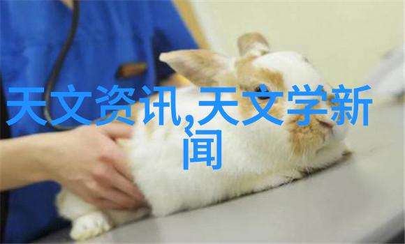 小森林夏天的魔法全集免费观看完整版总结