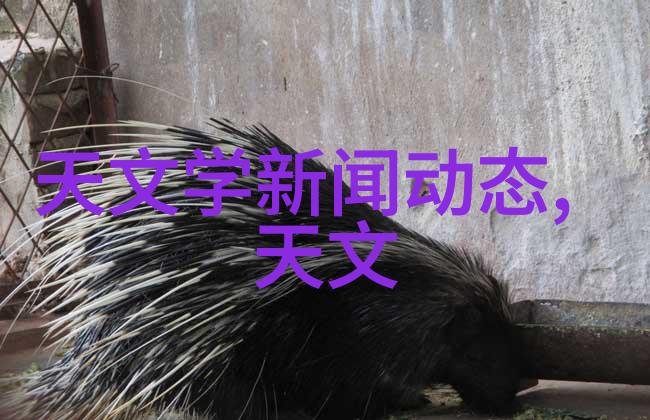 轻奢与科技共融新式客厅装修风格探索
