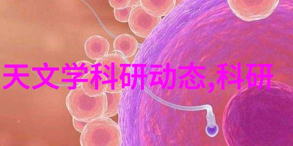 纤维之城从沙漠中的宝石到全球化的填充料帝国