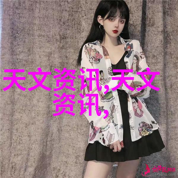 水位显示仪在防洪工程中的应用
