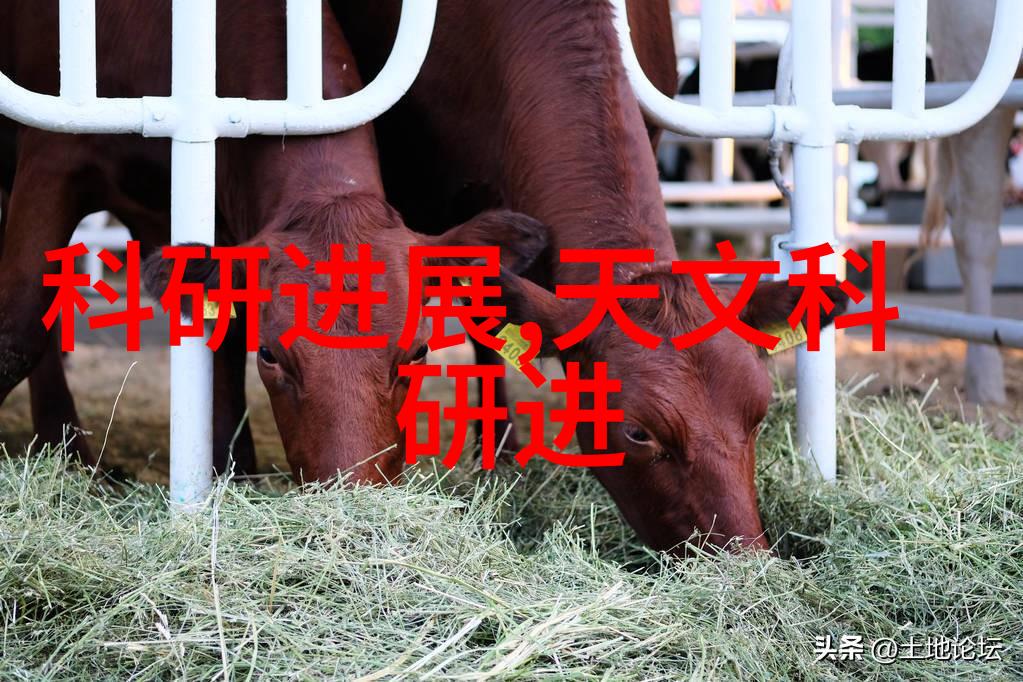 虚拟现实革命新一代游戏设备如何重塑玩家体验