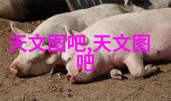 附近不锈钢剪板折弯加工我这里的工厂有没有搞得好