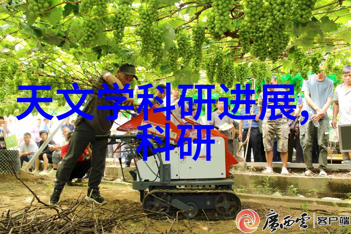 化学实验室的精灵反应釜设计图之谜